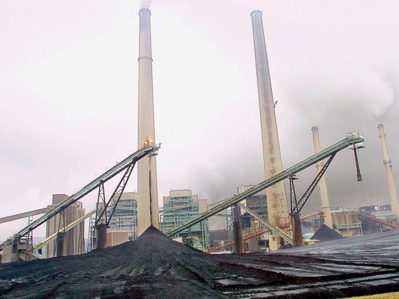 Fuel Coal Conveyor Belt Conveyor in Thermal Power Plant SKE Industries