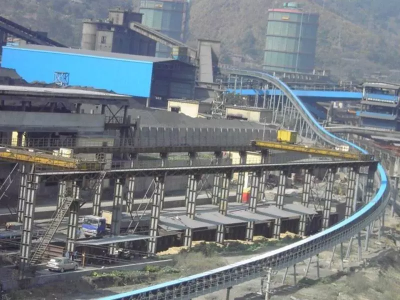 Thermal Power Plant Conveyor System