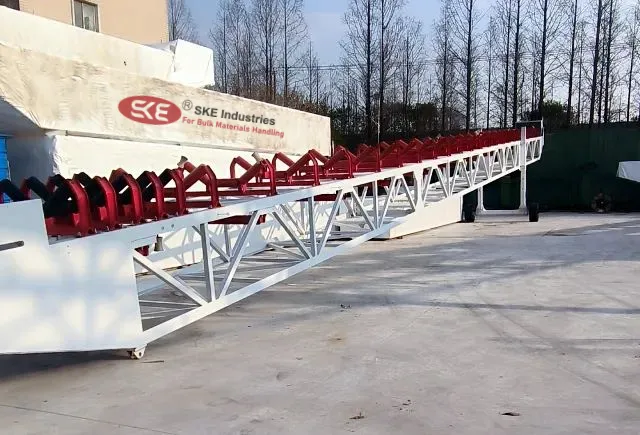 Grasshopper Conveyor | Jump Conveyor | Transfer Conveyor